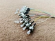 fiber optic pigtail