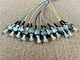 singlemode pigtail